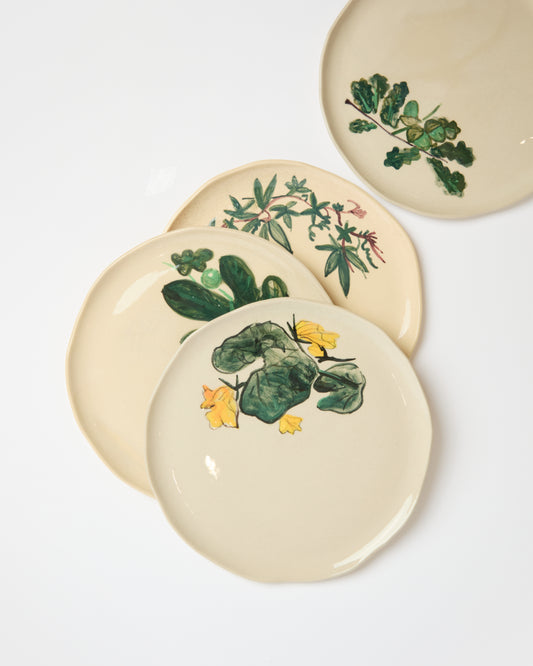 La Romaine Editions -  Floral Plates - Set of 6