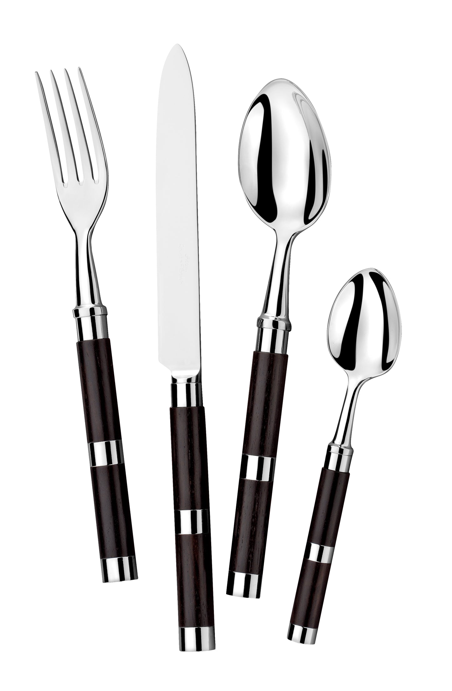 Alain Saint Joanis - The Carla Flatware Collection (Set of 4 pieces)